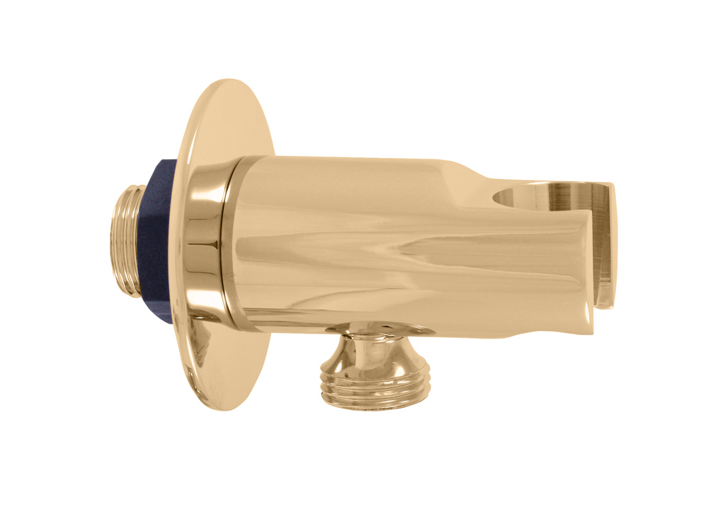 Shower holder with hose outlet  GOLD POLISHED