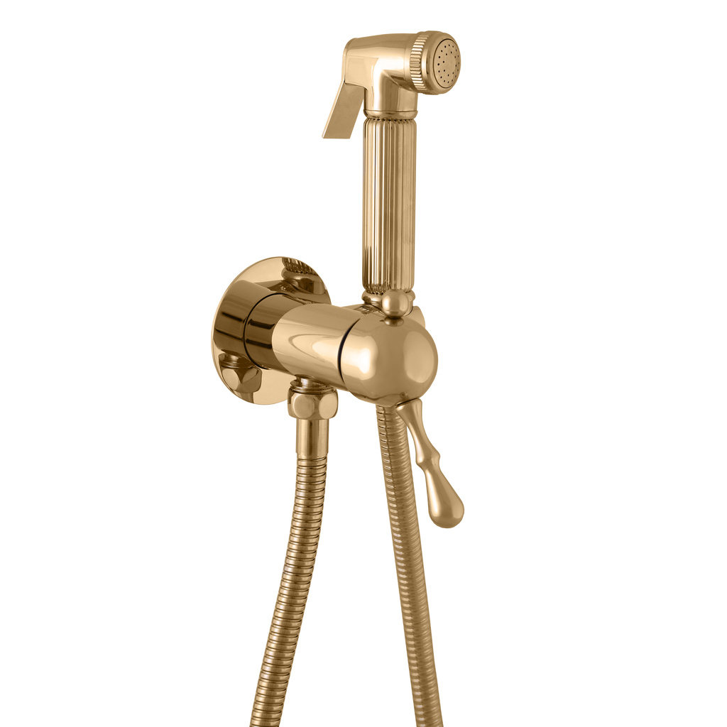 Bidet build-in mixer with shower LABE GOLD