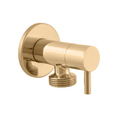 GOLD polished